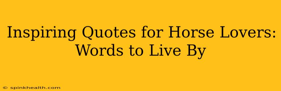 Inspiring Quotes for Horse Lovers: Words to Live By