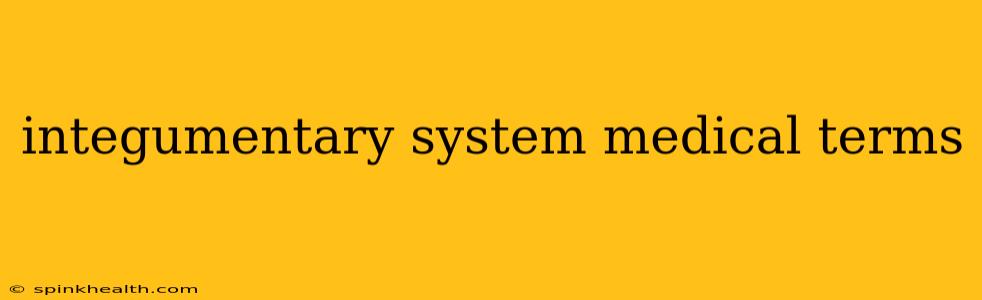 integumentary system medical terms