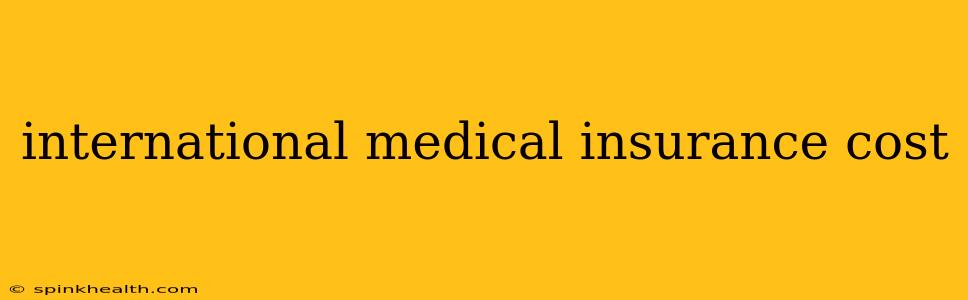 international medical insurance cost