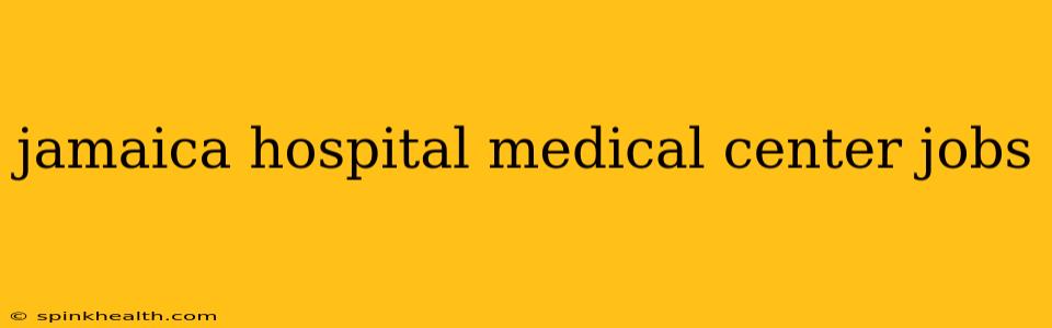 jamaica hospital medical center jobs