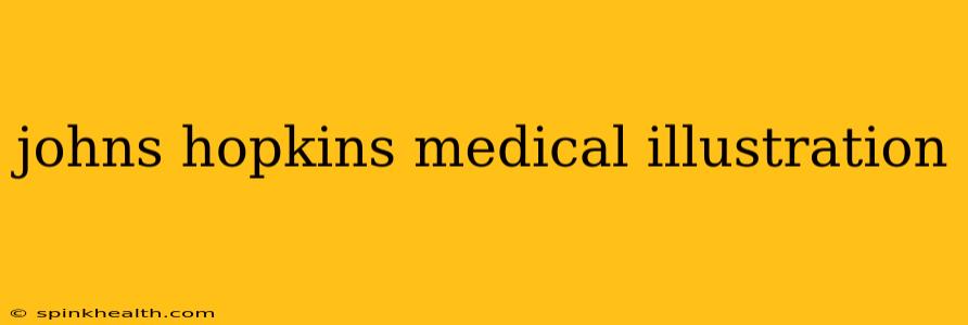 johns hopkins medical illustration