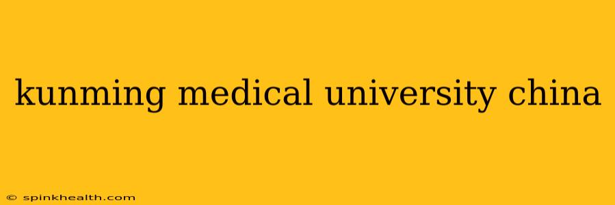 kunming medical university china