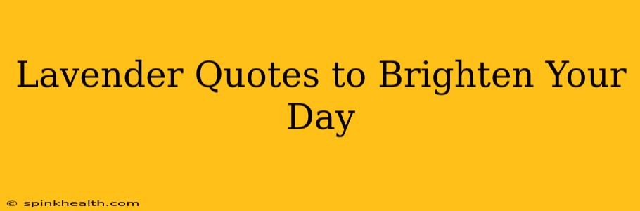 Lavender Quotes to Brighten Your Day