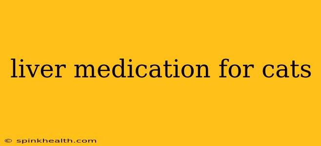 liver medication for cats