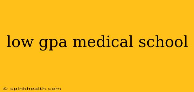 low gpa medical school