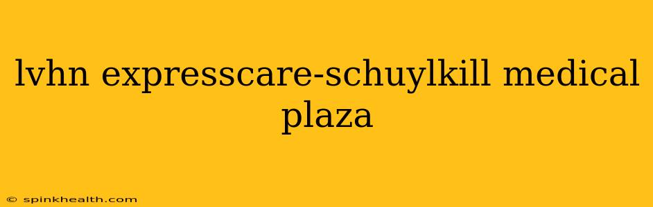 lvhn expresscare-schuylkill medical plaza