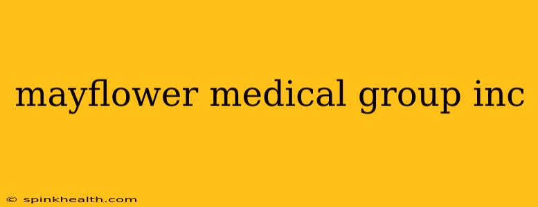mayflower medical group inc