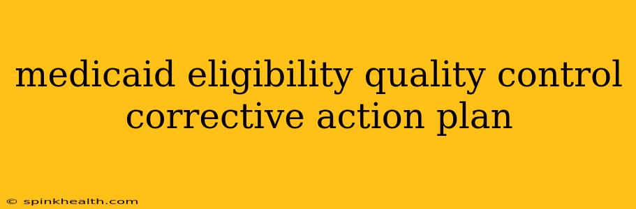 medicaid eligibility quality control corrective action plan