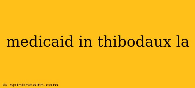 medicaid in thibodaux la