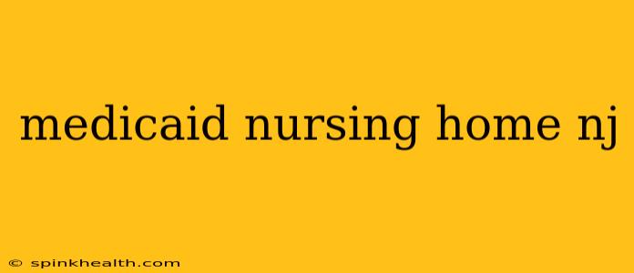 medicaid nursing home nj