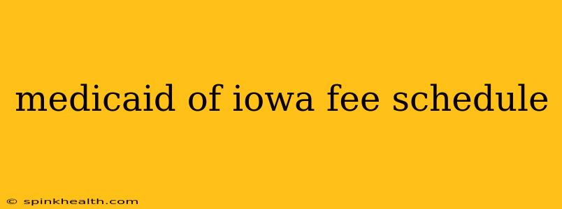 medicaid of iowa fee schedule