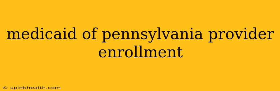 medicaid of pennsylvania provider enrollment