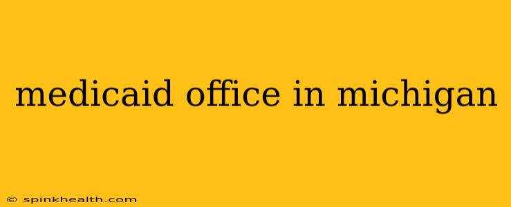 medicaid office in michigan