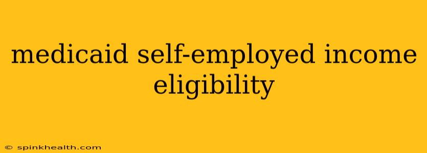 medicaid self-employed income eligibility