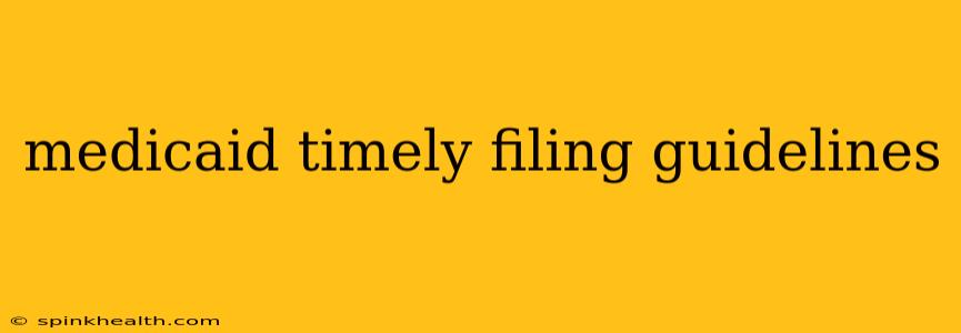 medicaid timely filing guidelines