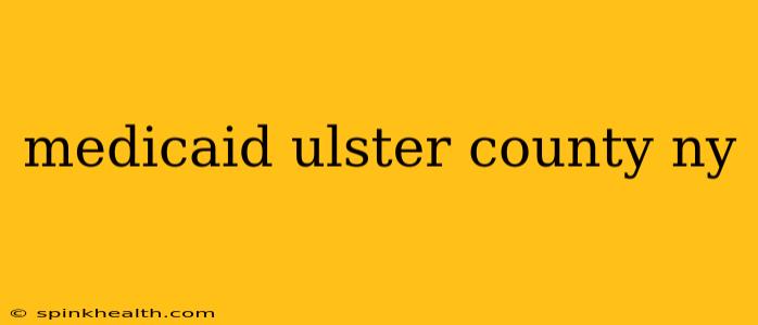 medicaid ulster county ny