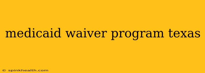 medicaid waiver program texas
