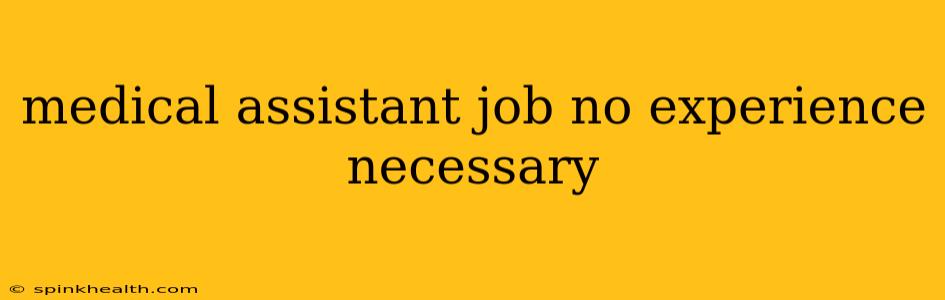 medical assistant job no experience necessary