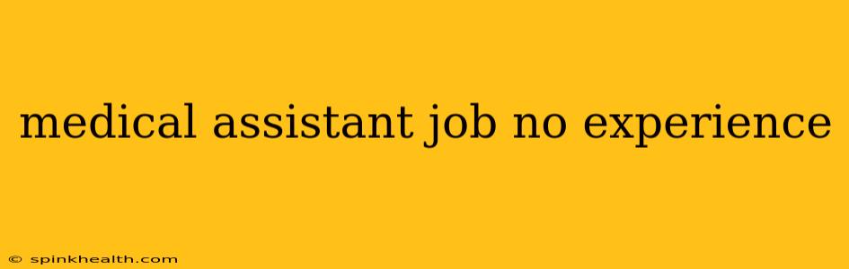 medical assistant job no experience