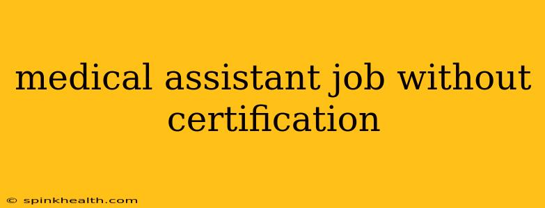 medical assistant job without certification