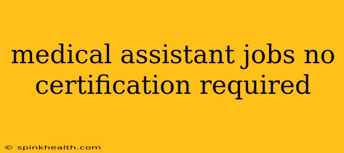 medical assistant jobs no certification required