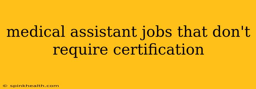 medical assistant jobs that don't require certification