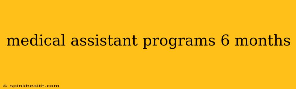 medical assistant programs 6 months