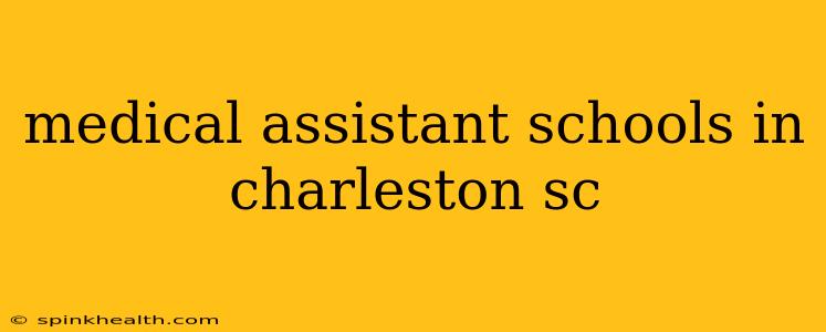 medical assistant schools in charleston sc