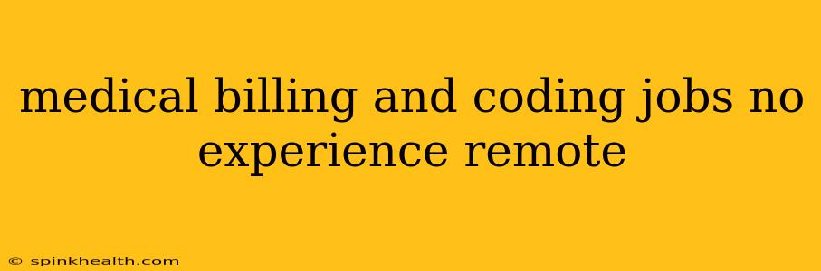 medical billing and coding jobs no experience remote