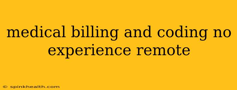 medical billing and coding no experience remote