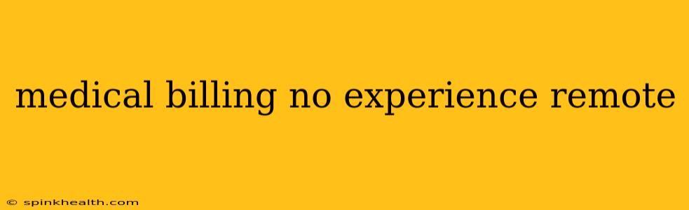 medical billing no experience remote