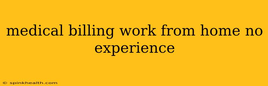 medical billing work from home no experience