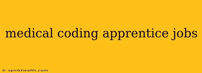 medical coding apprentice jobs