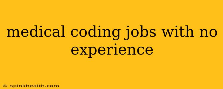 medical coding jobs with no experience