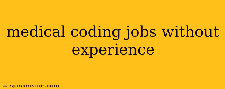 medical coding jobs without experience