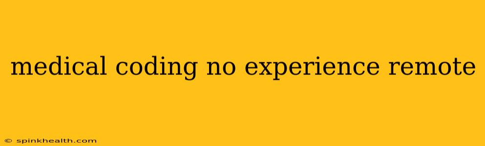 medical coding no experience remote