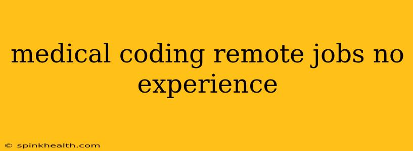 medical coding remote jobs no experience