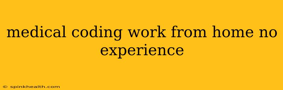 medical coding work from home no experience