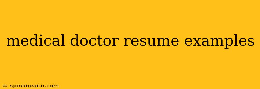medical doctor resume examples