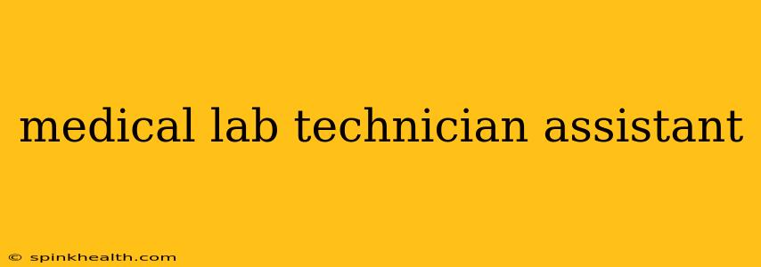 medical lab technician assistant