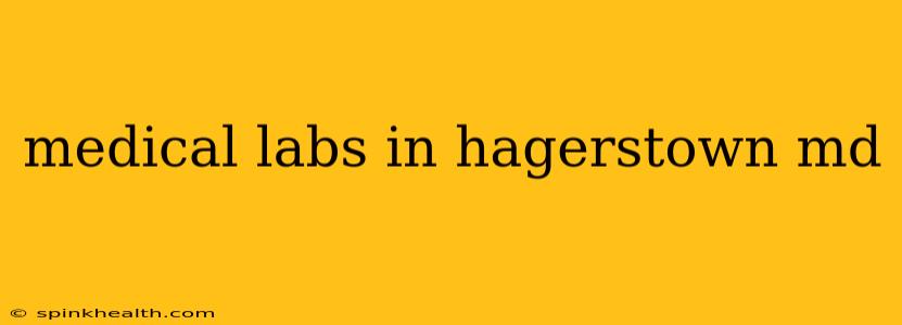 medical labs in hagerstown md