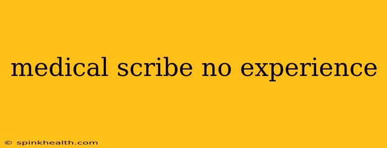 medical scribe no experience