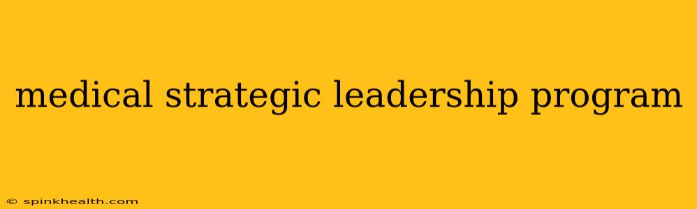 medical strategic leadership program