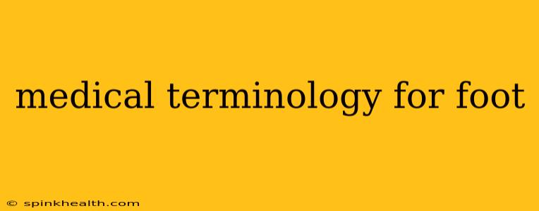medical terminology for foot