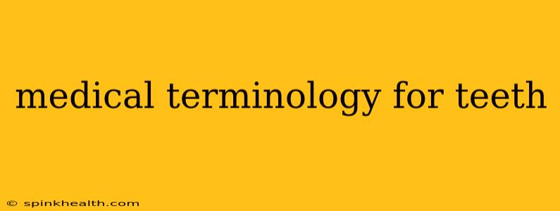 medical terminology for teeth