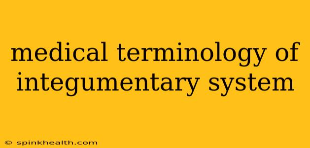 medical terminology of integumentary system