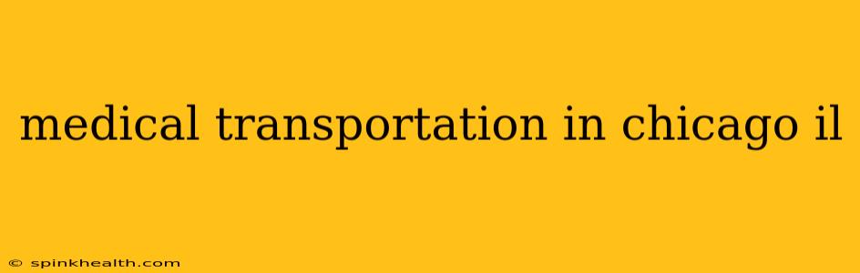 medical transportation in chicago il