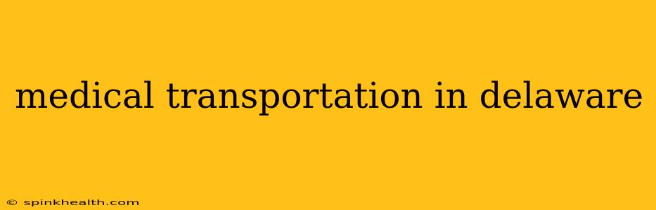 medical transportation in delaware