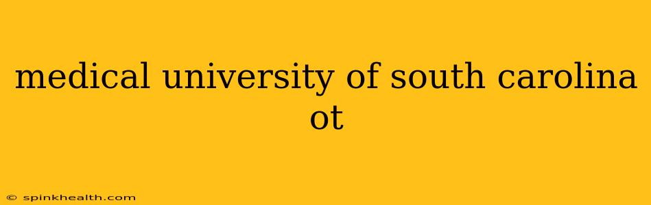 medical university of south carolina ot