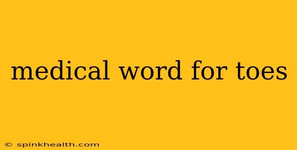 medical word for toes